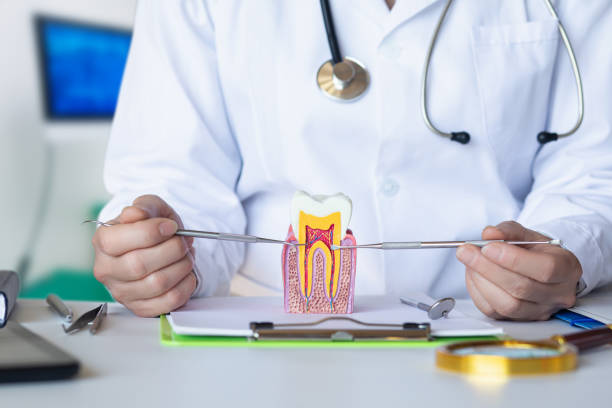 Best Emergency Broken Tooth Repair in Geneva, WA